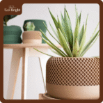 Chậu Cây Decor Để Bàn Grille - Ảnh 10