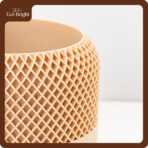 Chậu Cây Decor Để Bàn Grille - Ảnh 8