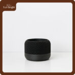 Chậu Cây Decor Để Bàn Grille - Ảnh 7