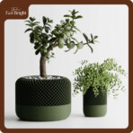 Chậu Cây Decor Để Bàn Grille - Ảnh 4