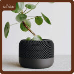 Chậu Cây Decor Để Bàn Grille - Ảnh 2