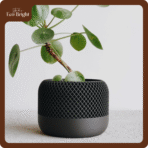 Chậu Cây Decor Để Bàn Grille - Ảnh 13